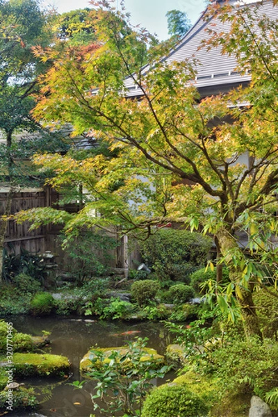 Fototapeta 宝泉院