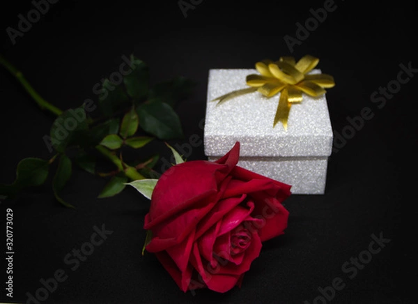 Obraz red rose and gift on black background