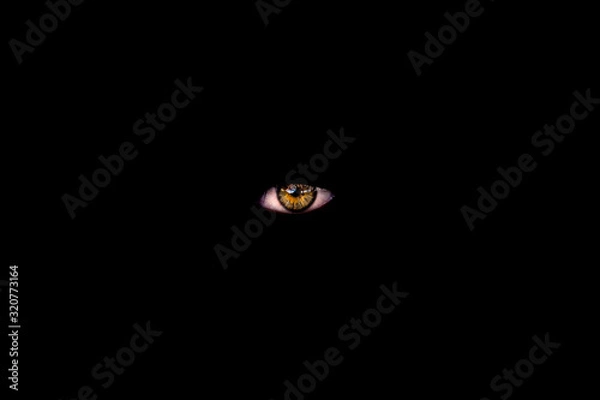 Fototapeta Eye in darkness