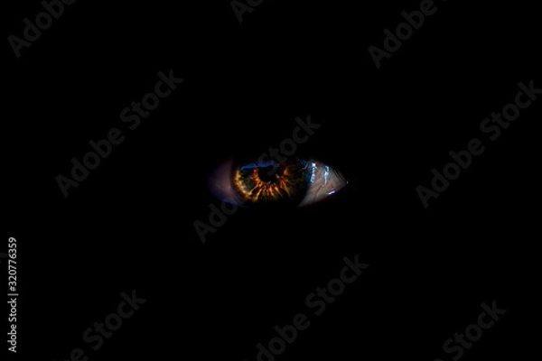 Fototapeta Burning look