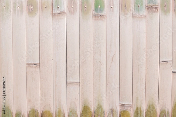 Obraz 竹壁の背景