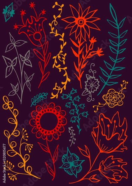 Obraz Flowers set contour vector illustration hand drawing on the cover