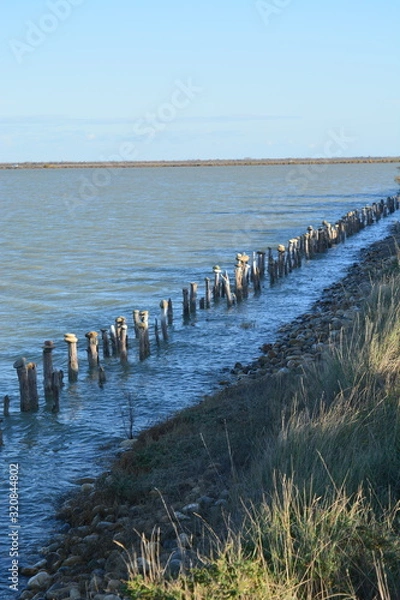 Fototapeta Bois, galets, eau