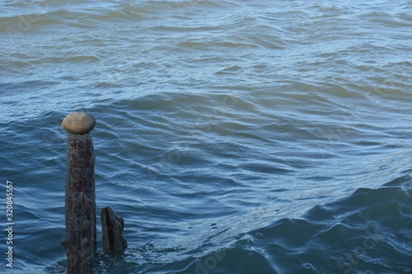 Fototapeta Bois, galets, eau