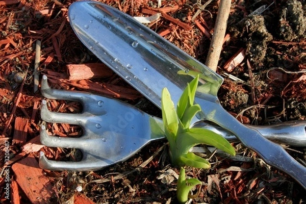 Obraz outils de jardinage