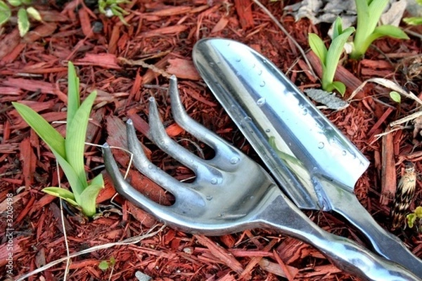 Obraz outils jardinage