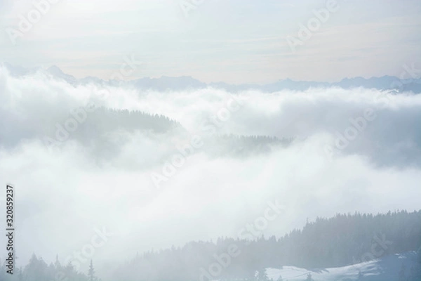 Fototapeta foggy mountain layers in winter over the pine forest
