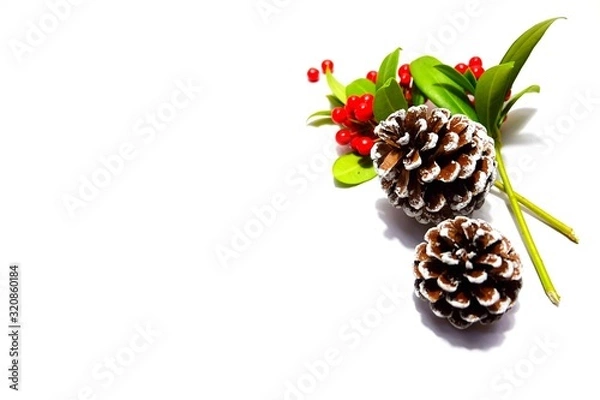 Obraz pine cones on white background