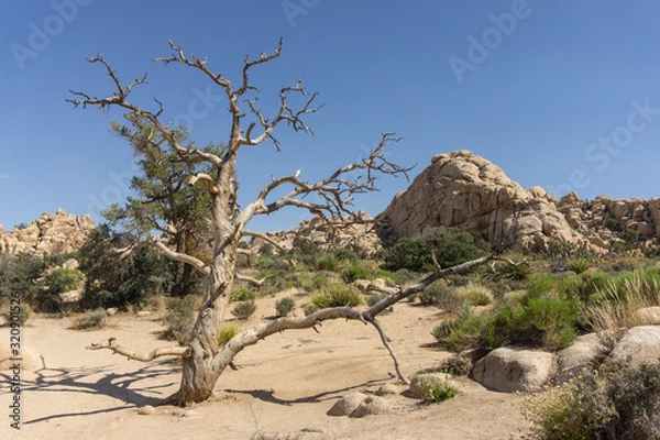 Fototapeta Bryce Canyon