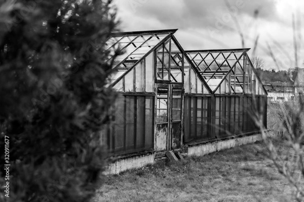 Fototapeta gewächshaus