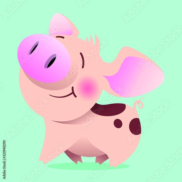 Obraz spotted pig smiling while walking