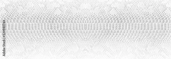 Fototapeta Skin snake background White snake skin texture Close-up