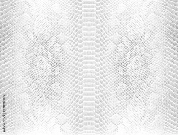 Obraz Skin snake background White snake skin texture Close-up