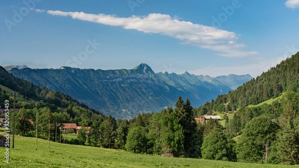 Fototapeta Switzerland, Panoramic view on green Alps near Schynige Platte, Saxeten