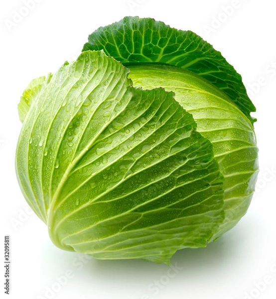 Fototapeta kapusta