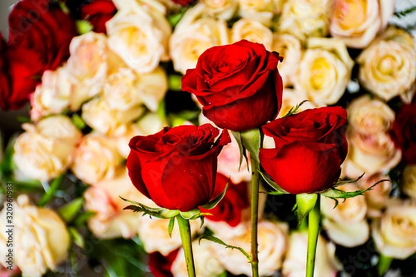 Obraz three red roses over flowers background