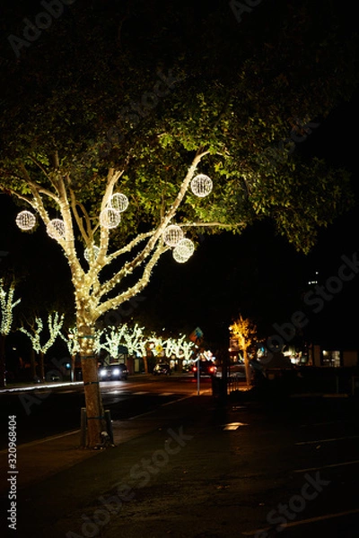 Obraz Light Decoration on Trees on a side walk at night