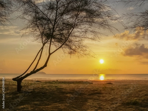 Obraz Silhouette Pine tree on sand beach with yellow sun light in the sky background, sunset at Laem Son Beach, Laem Son National Park, Ranong, southern of Thailand.
