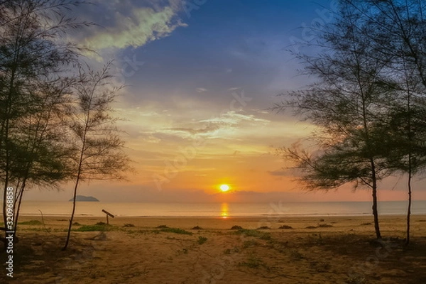 Obraz view seaside evening of pine trees on white sand beach with yellow sun light in the sky background, sunset at Laem Son Beach, Laem Son National Park, Ranong, southern of Thailand.