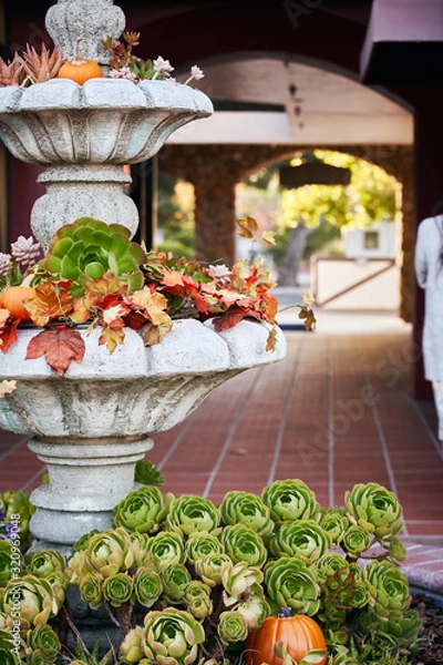Obraz Multi level Plant Decor filled with succulent plants and autumn decorations