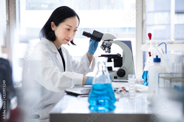 Fototapeta 顕微鏡を覗き込む女性