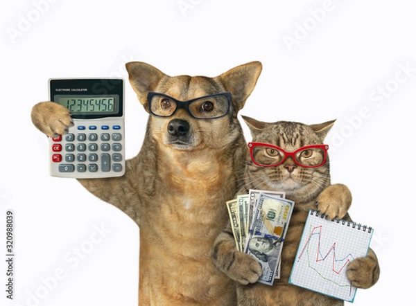 Fototapeta Kot trzyma zeszyt z wykresem finansowym i wachlarz dolarów. Pies trzyma kalkulator księgowy. Stoją przytuleni. Białe tło. Odosobniony.
