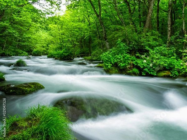 Obraz oirase　奥入瀬