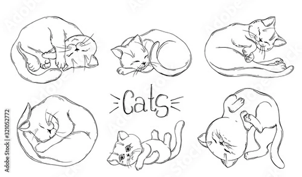Obraz set of graphic black and white cats.