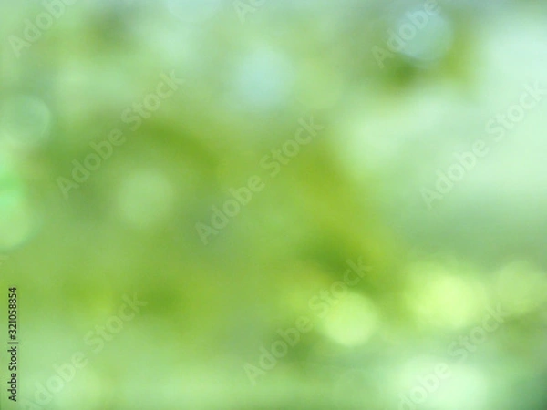 Obraz abstract background spring green yellow blurred forest