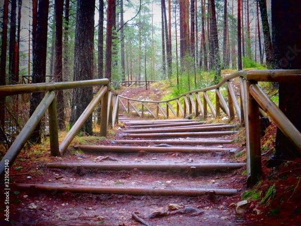 Obraz ESCALERA NATURAL