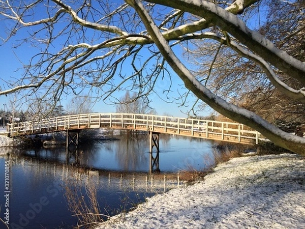 Obraz Winter in Holland