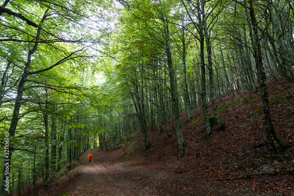 Obraz CAMINHO DE SANTIAGO