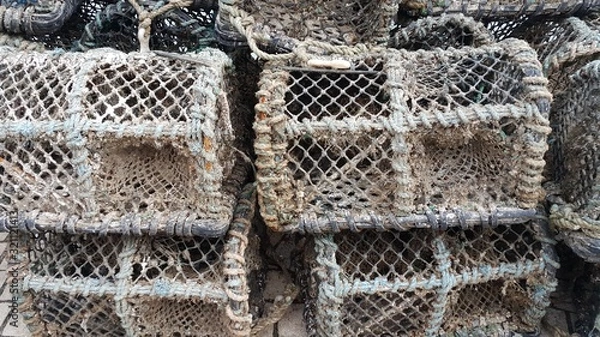 Obraz Fish trap