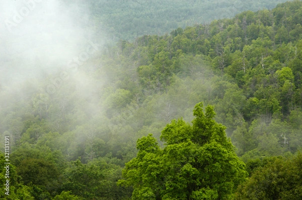Fototapeta Cherohola View