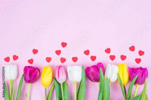 Fototapeta High angle close up above view of a row of multi colorful purple and vivid yellow tulips with small little hearts isolated over pastel color background with empty blank space