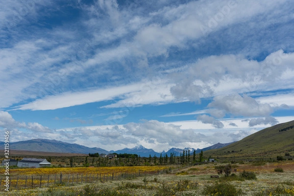 Fototapeta パタゴニアの草原
