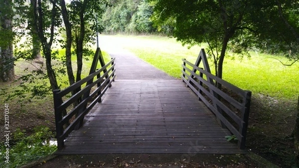 Fototapeta path in the park