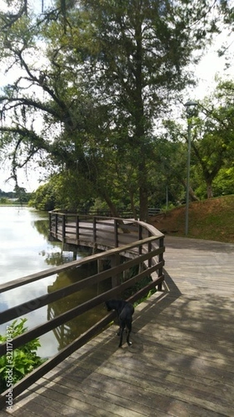 Fototapeta Park Lake