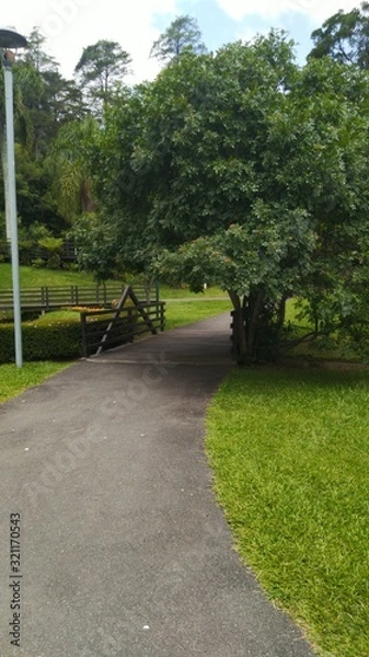 Fototapeta path in park