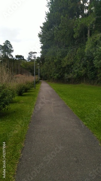 Fototapeta path in the park