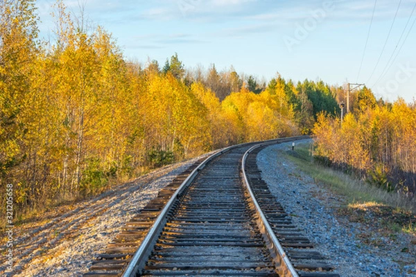 Fototapeta The railway goes into the distance through the autumn forest. Autumn landscape.