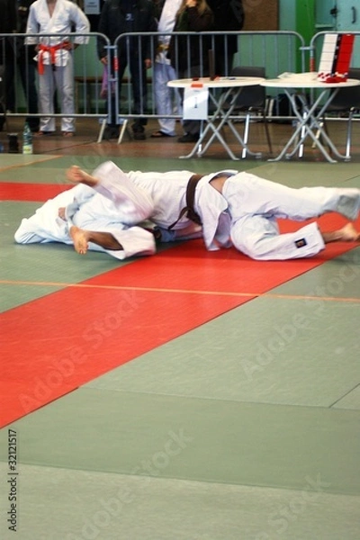 Obraz Judo