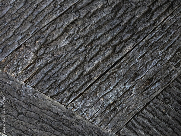 Fototapeta Atmospheric texture of natural wood bark