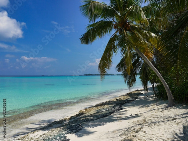 Fototapeta Beach with palm trees - Kuramathi Maldives