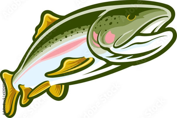 Fototapeta Rainbow trout
