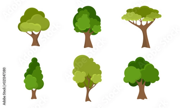 Fototapeta Set of green deciduous summer blooming trees vector illustration