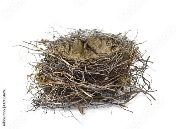 Fototapeta Empty nest isolated on white background.