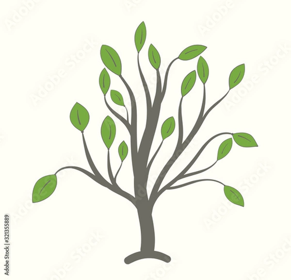Fototapeta Tree with thick branches and large green leaves on a light background