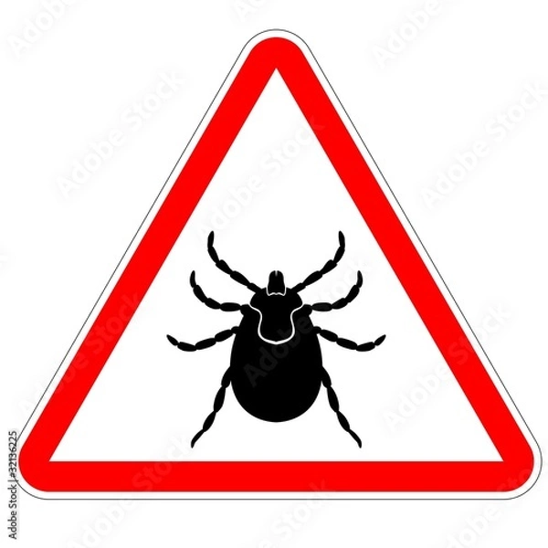 Fototapeta Kleszcz 02 - vector