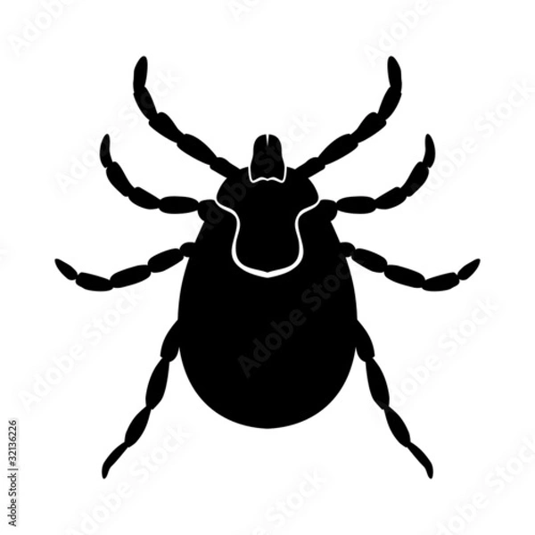 Fototapeta Kleszcz 01 - vector